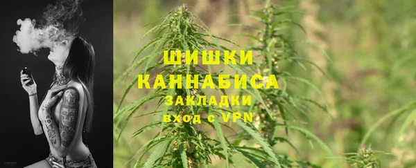 экстази Богданович