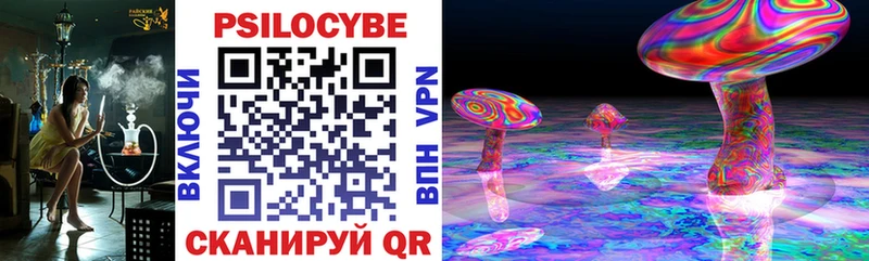 Купить  Касли  Галлюциногенные грибы прущие грибы 